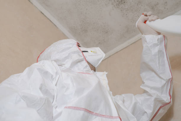 Best White Mold Remediation in Haltom City, TX