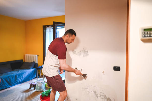 Best Commercial Mold Remediation in Haltom City, TX